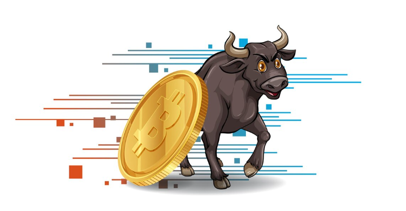Bull Run Bitcoin : le guide complet pour comprendre et profiter du prochain cycle haussier